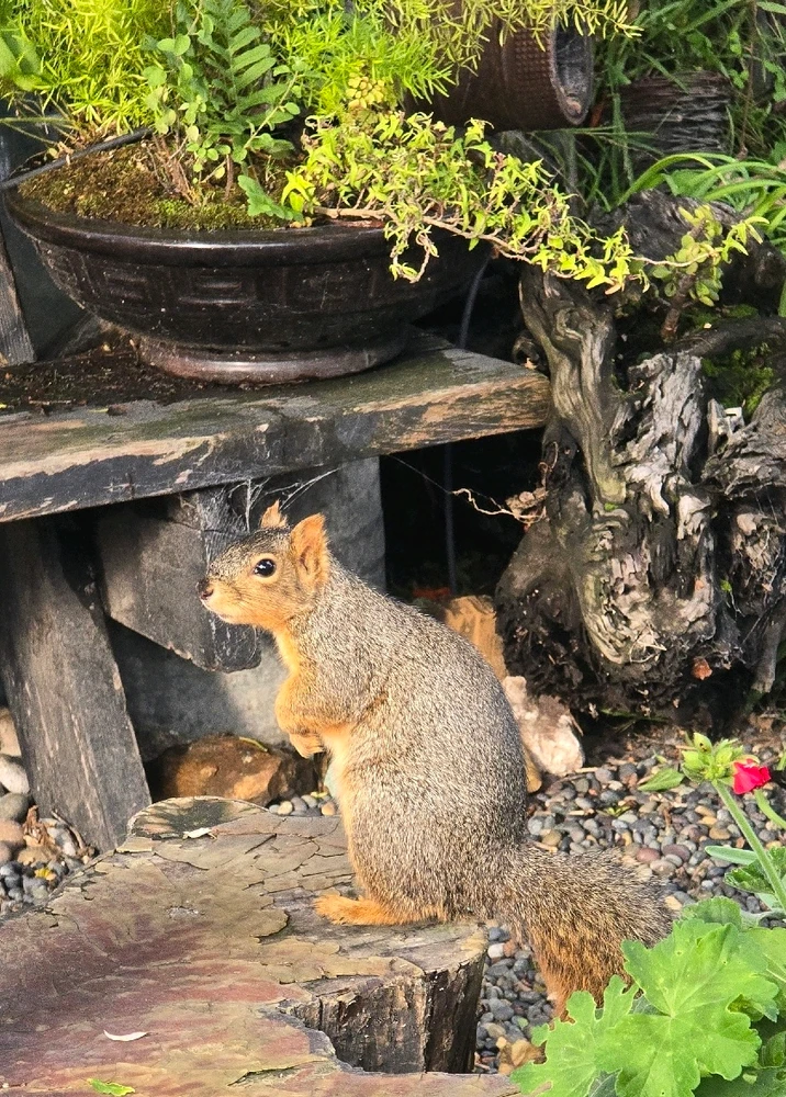 GIF uploaded by William