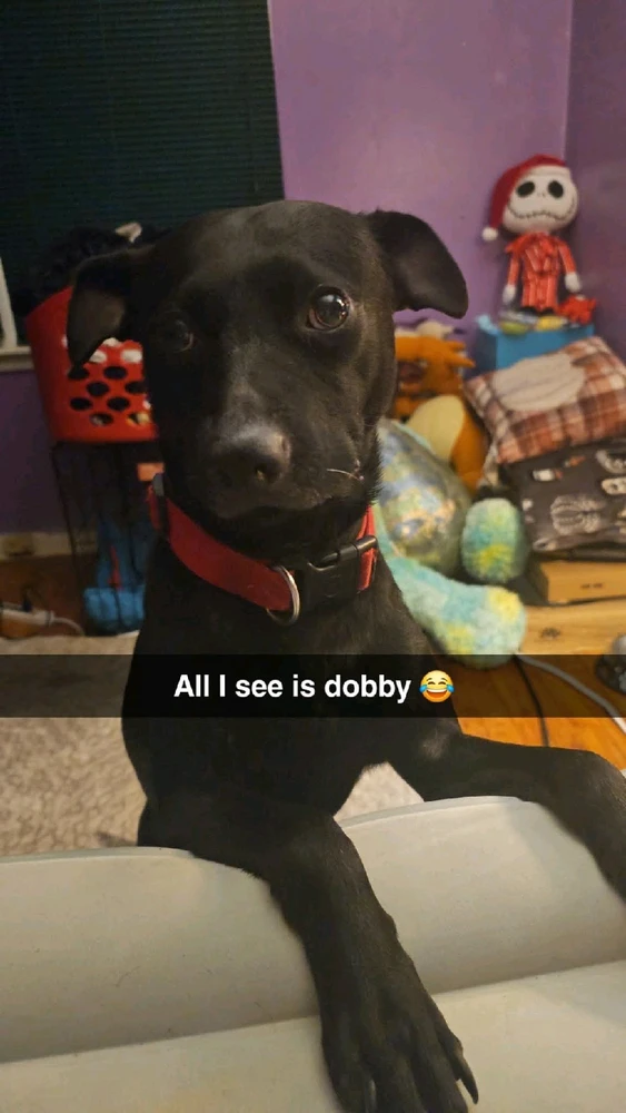 GIF uploaded by Jordan