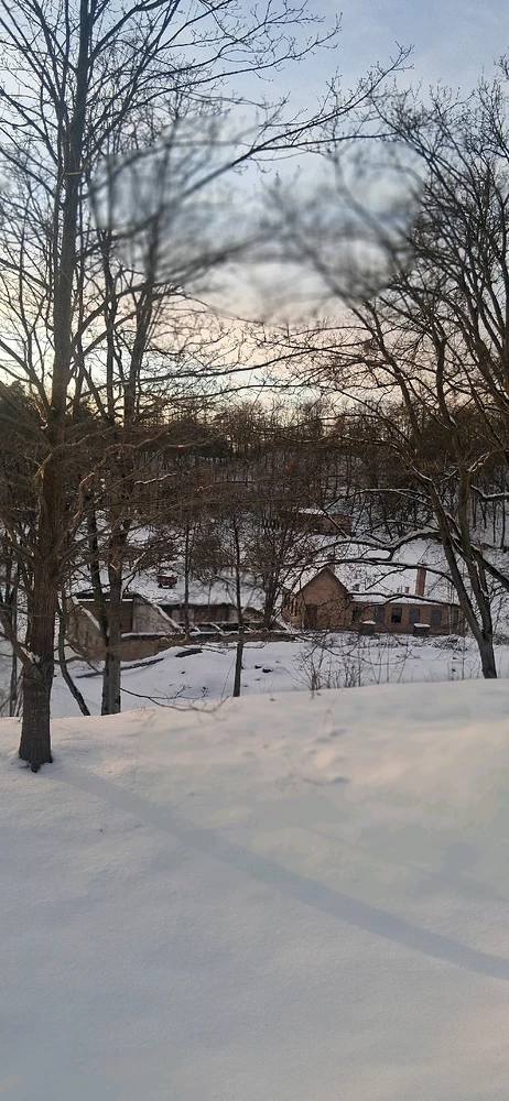 Image uploaded by Mitch