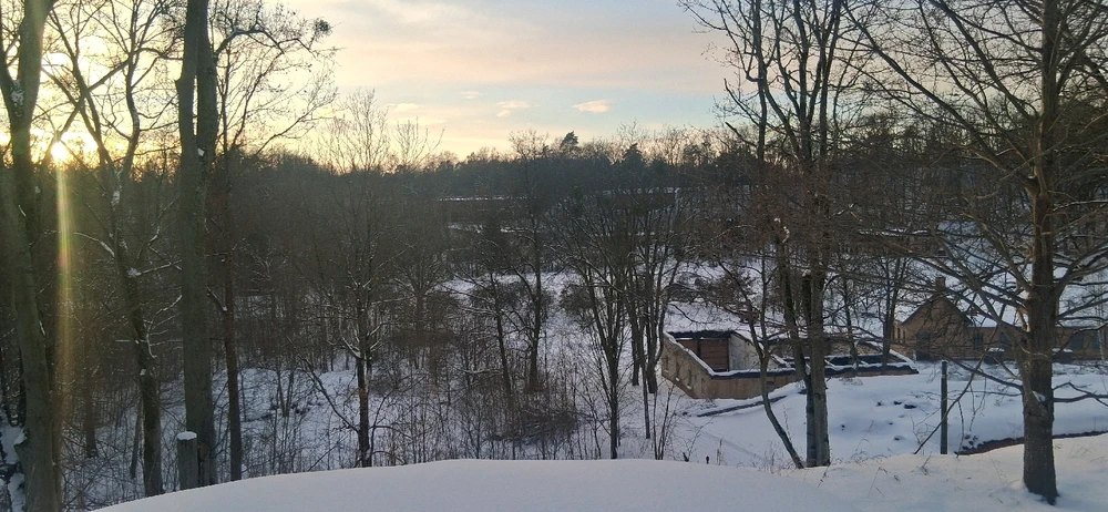 Image uploaded by Mitch