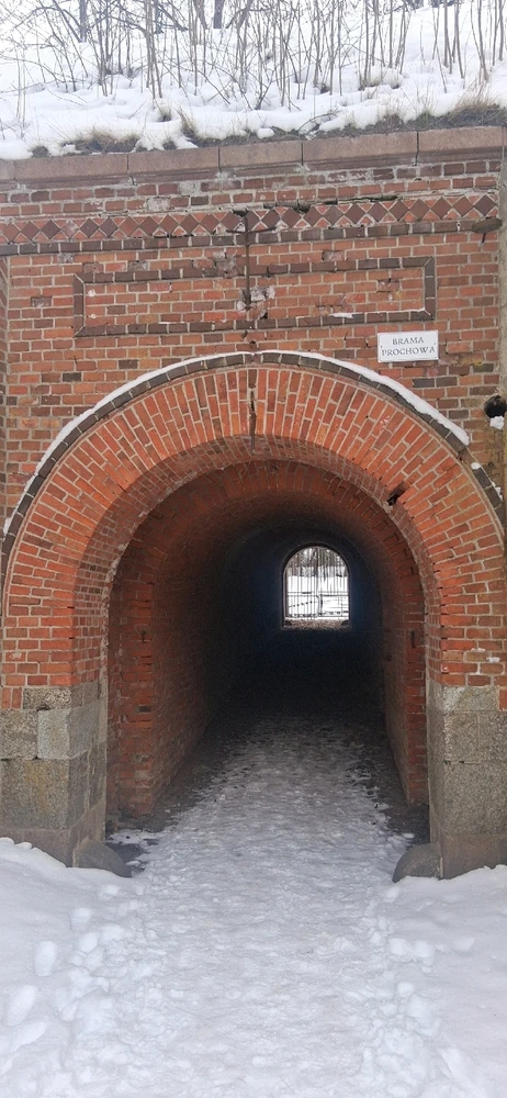 Image uploaded by Mitch