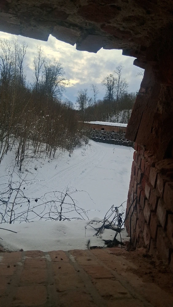 Image uploaded by Mitch