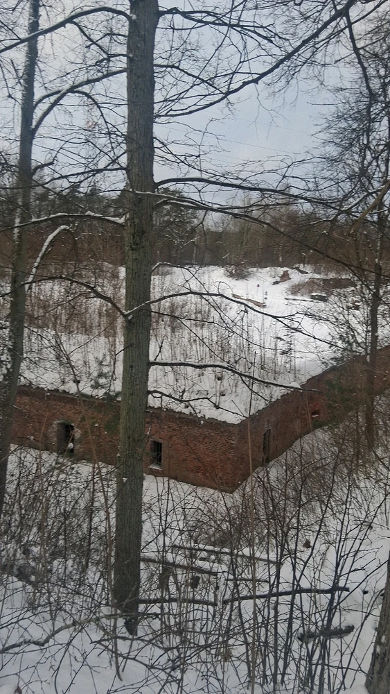 Image uploaded by Mitch