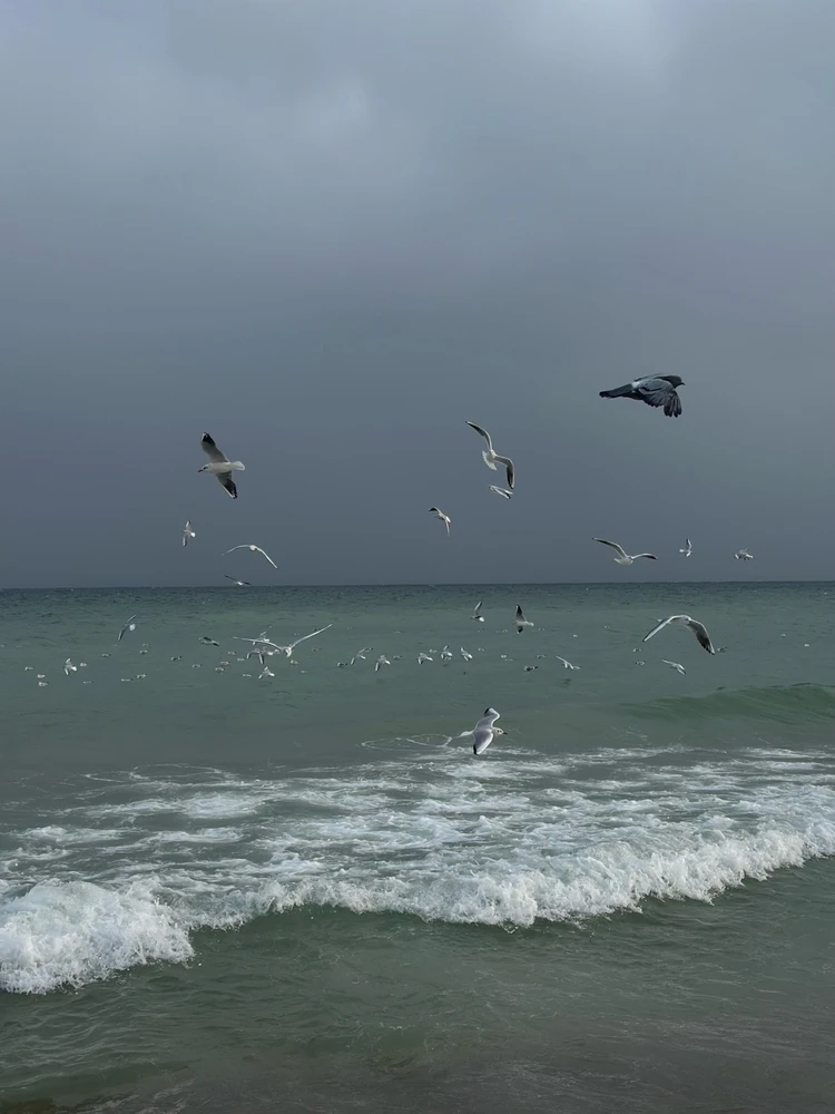 Фото загрузил Irina