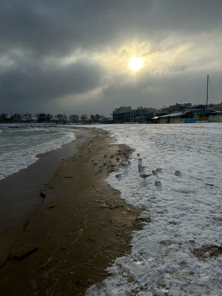 Фото загрузил Irina