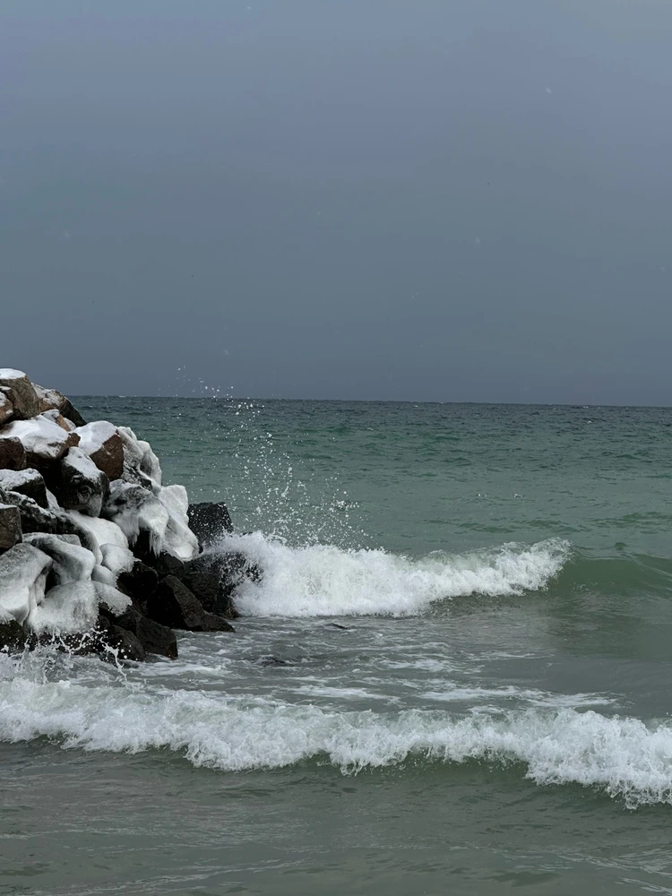 Фото загрузил Irina