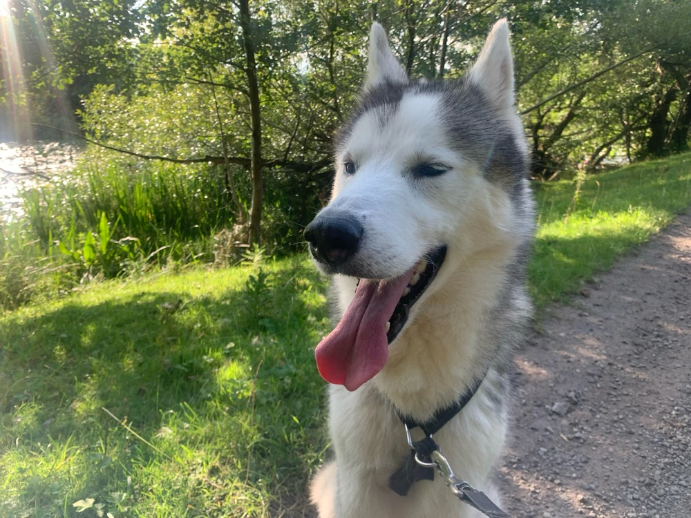 GIF uploaded by Charlie