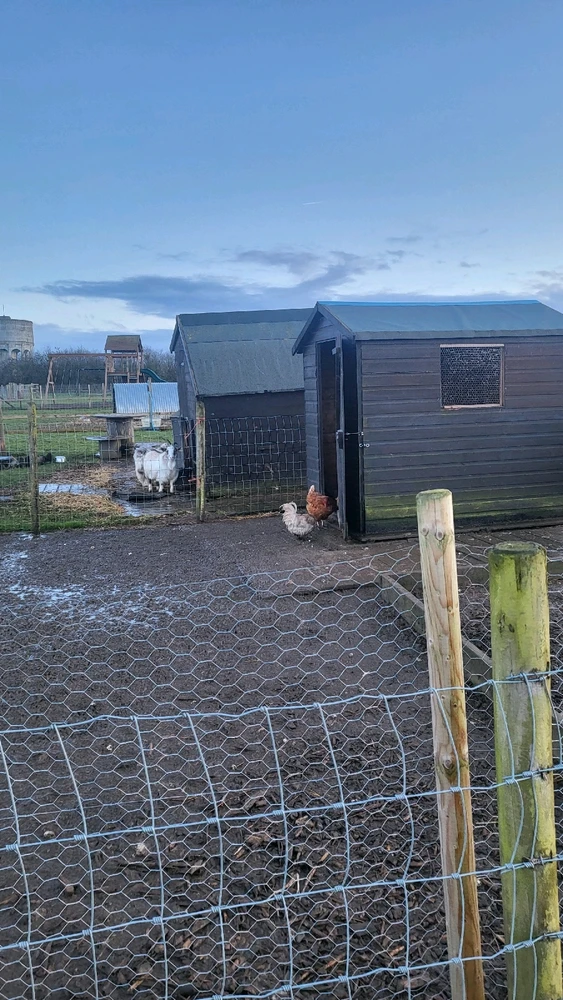 Image uploaded by Rad