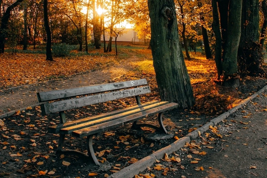 GIF enviado por Lemuel