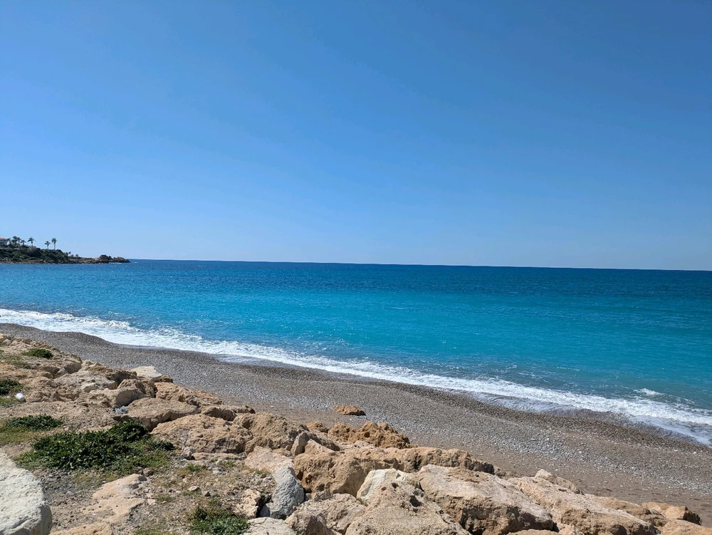 Image uploaded by Alex