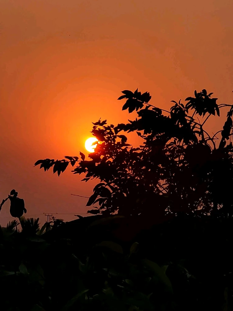 Image uploaded by 💜J💜o💜e💜y💜