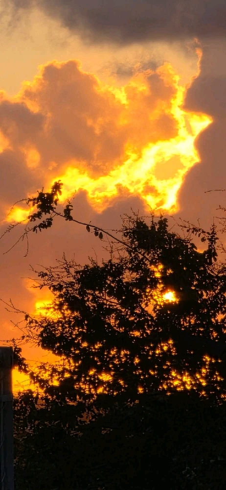 Image uploaded by 💜J💜o💜e💜y💜