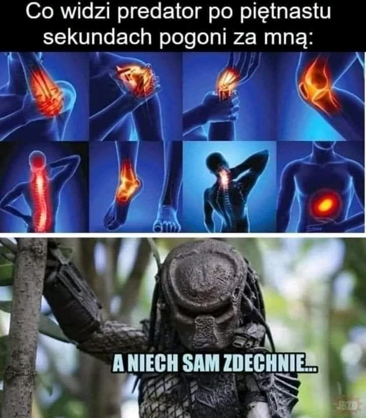 GIF dodany przez Damian