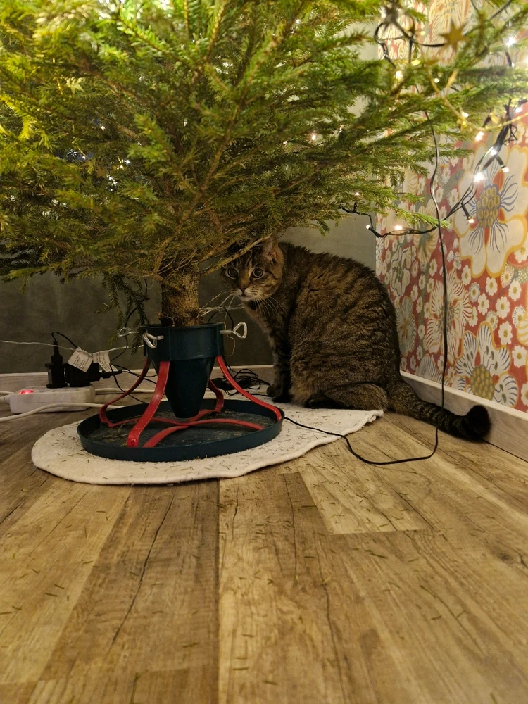 GIF uploaded by Nick