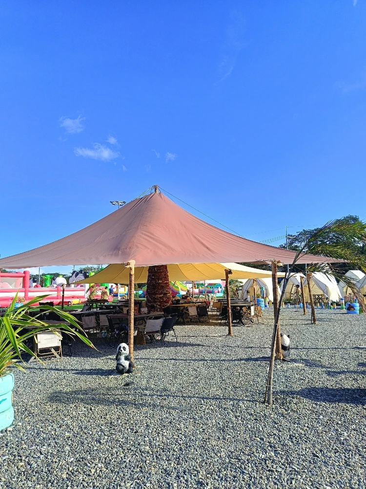 Image uploaded by Ann