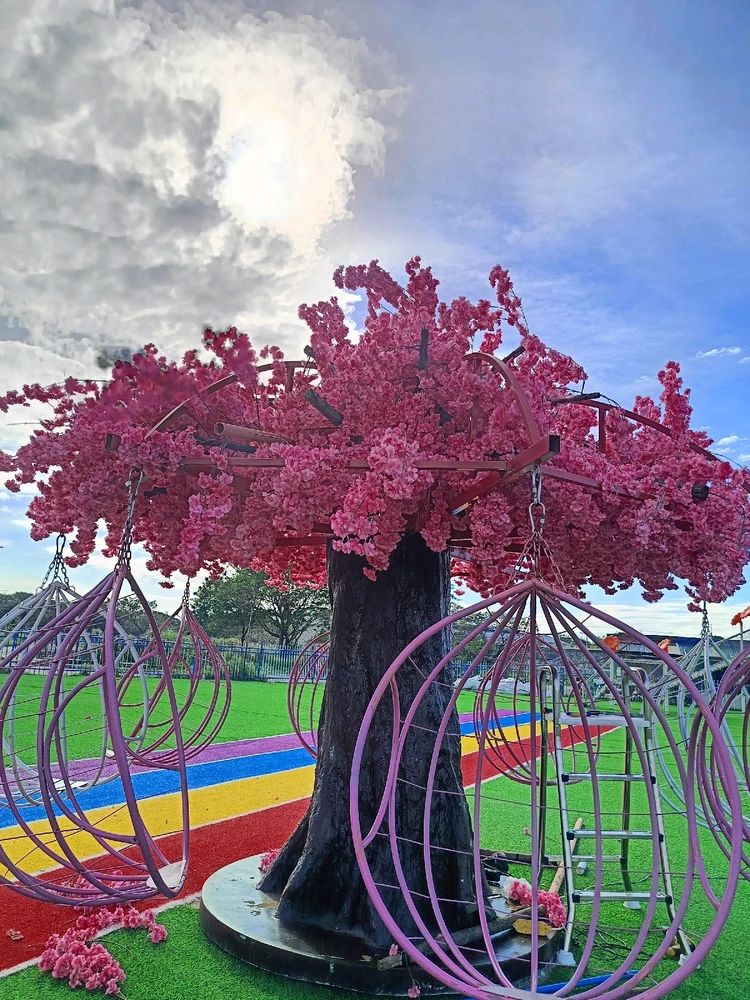 Image uploaded by Ann