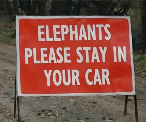 GIF uploaded by WVWVANA