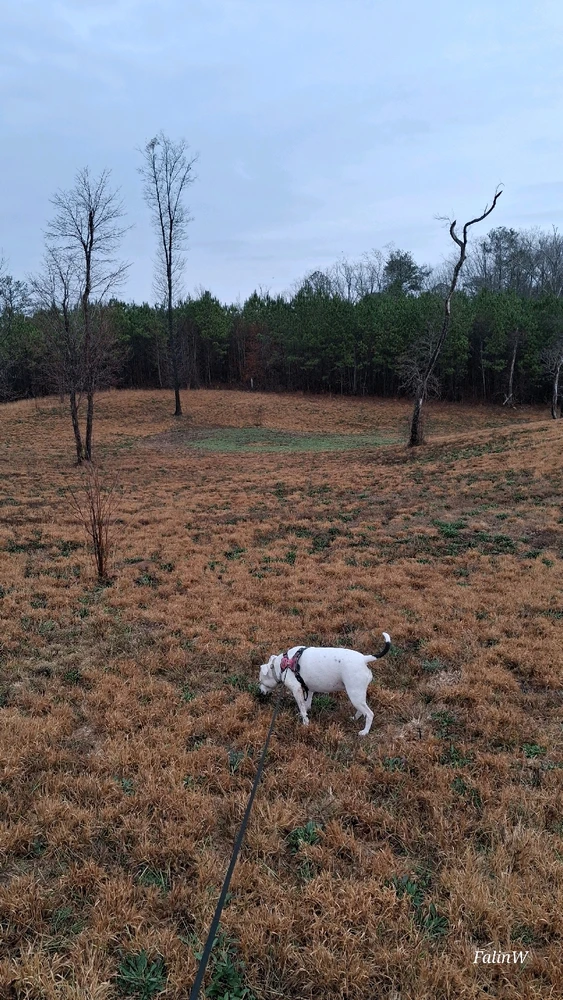 GIF diunggah dening Falin