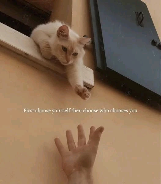 GIF uploaded by ikhfA