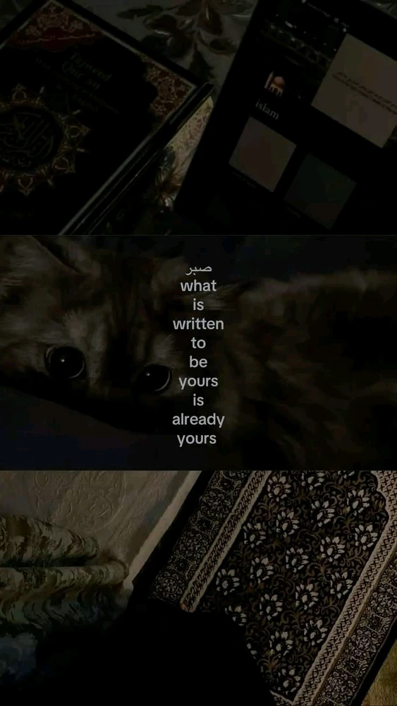 GIF uploaded by ikhfA