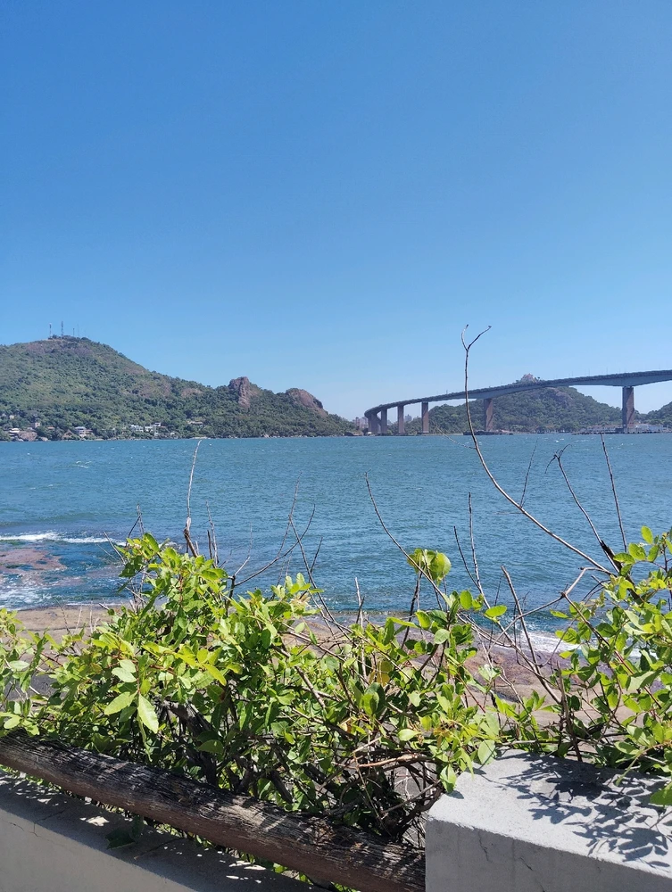 GIF uploaded by Frida