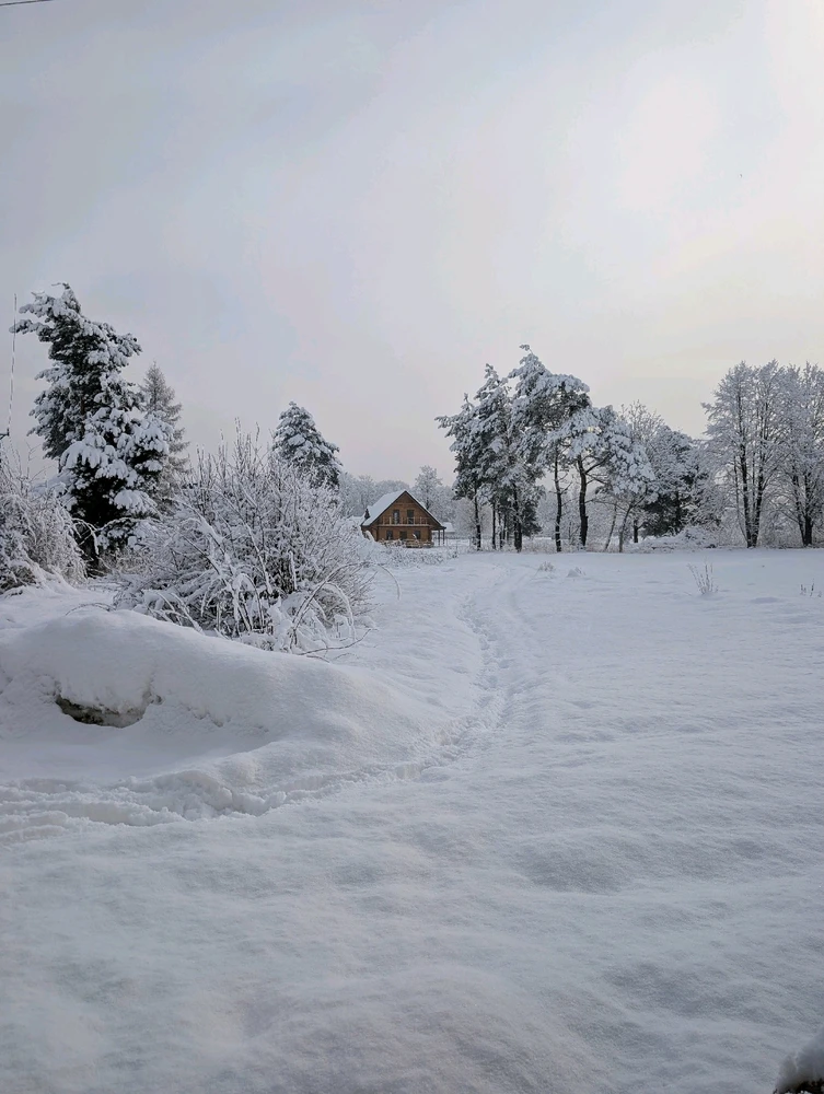 Zdjęcie dodane przez Szymon