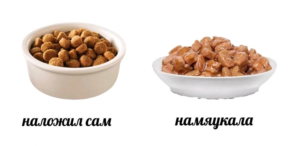 GIF загрузил Степан