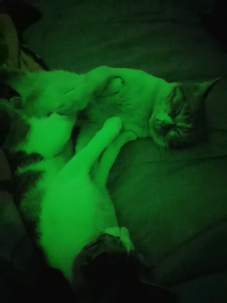 GIF subido por Dylan E.