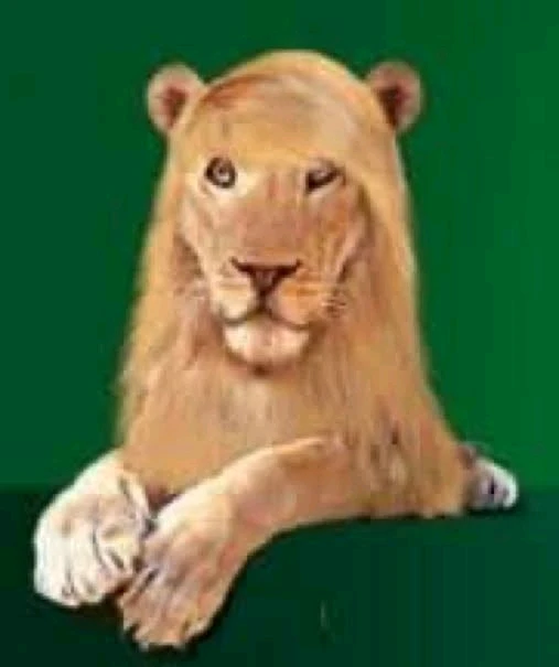 GIF enviado por Nana