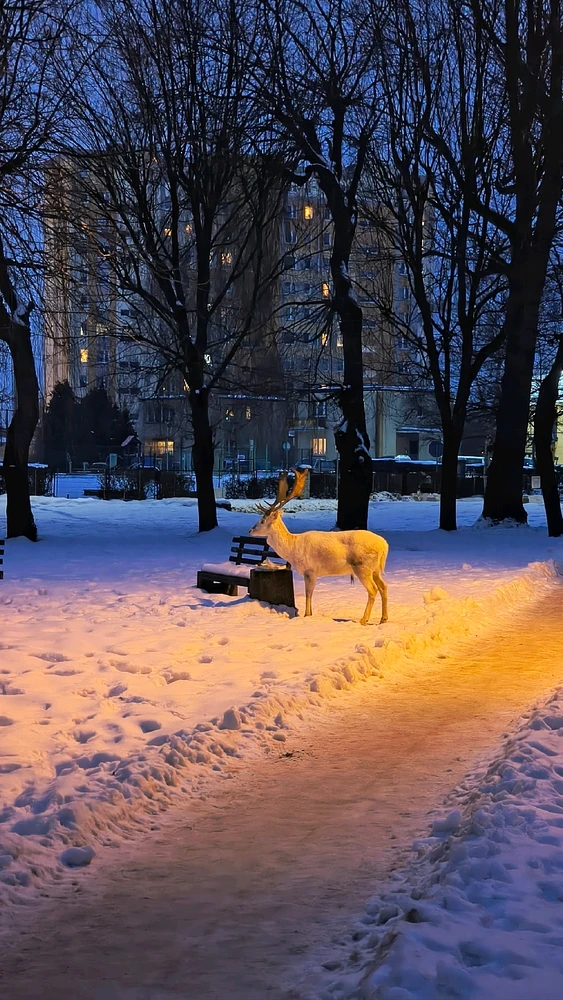 Zdjęcie dodane przez majki