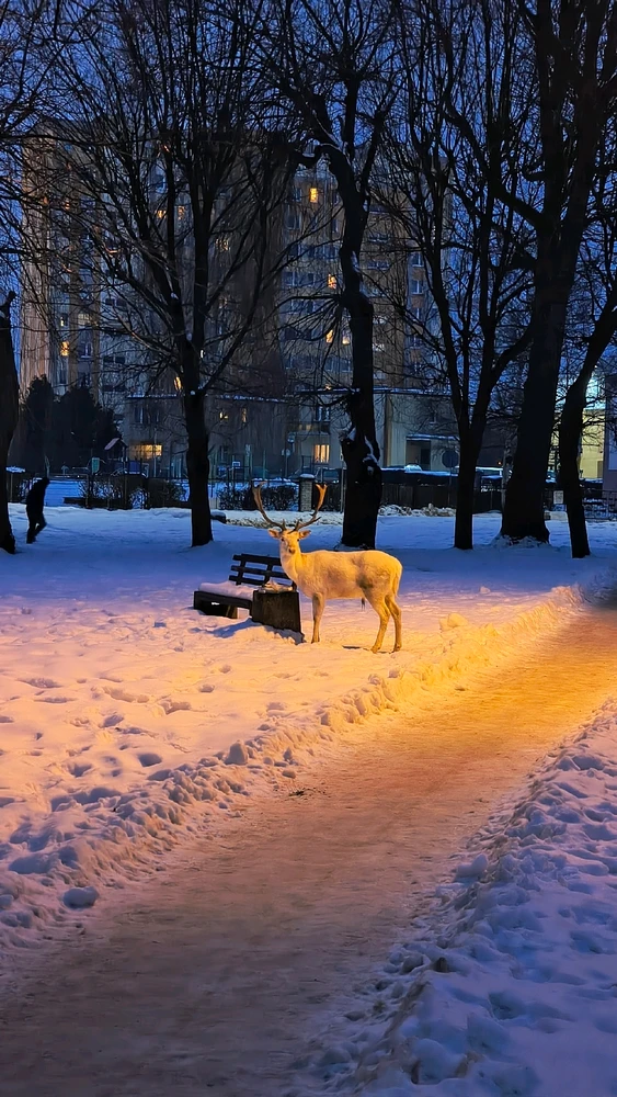 Zdjęcie dodane przez majki