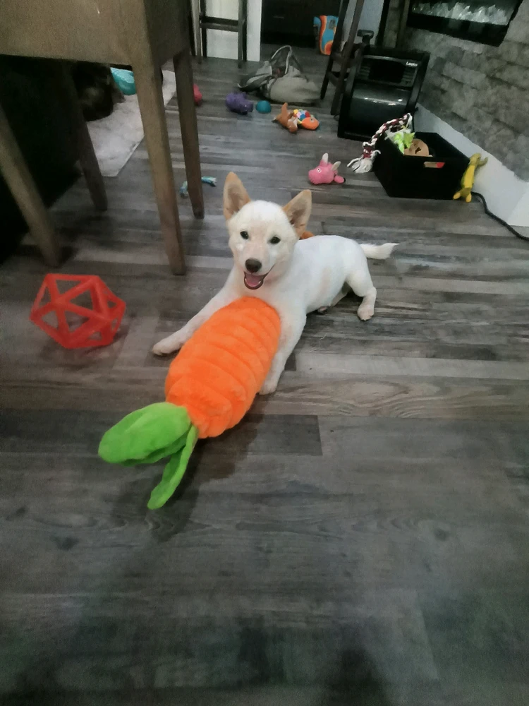 GIF uploaded by Andy