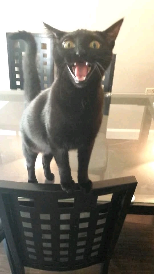 GIF uploaded by Nick