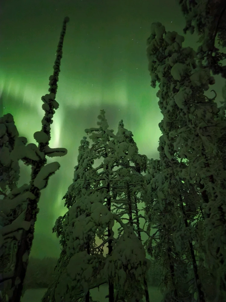 GIF uploaded by Aurora