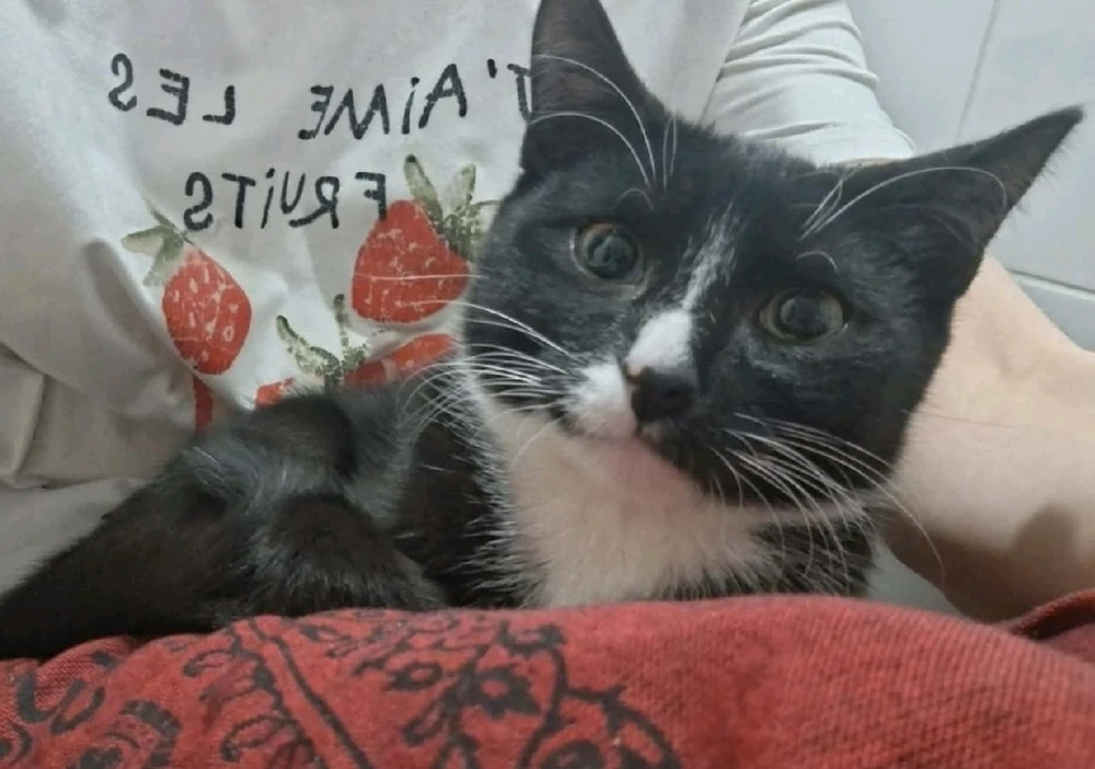 GIF dodany przez Ala