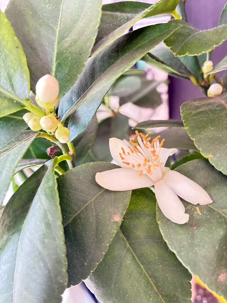 Immagine caricata da Susanna