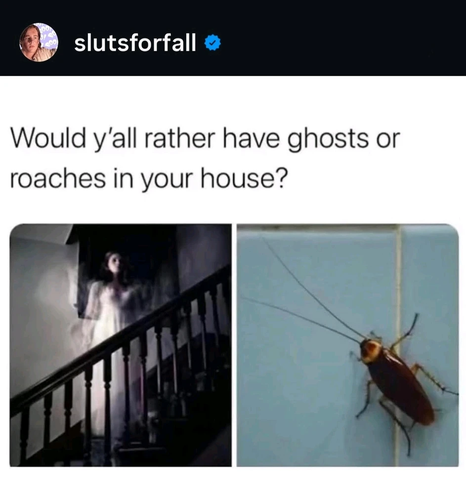 GIF uploaded by Maili