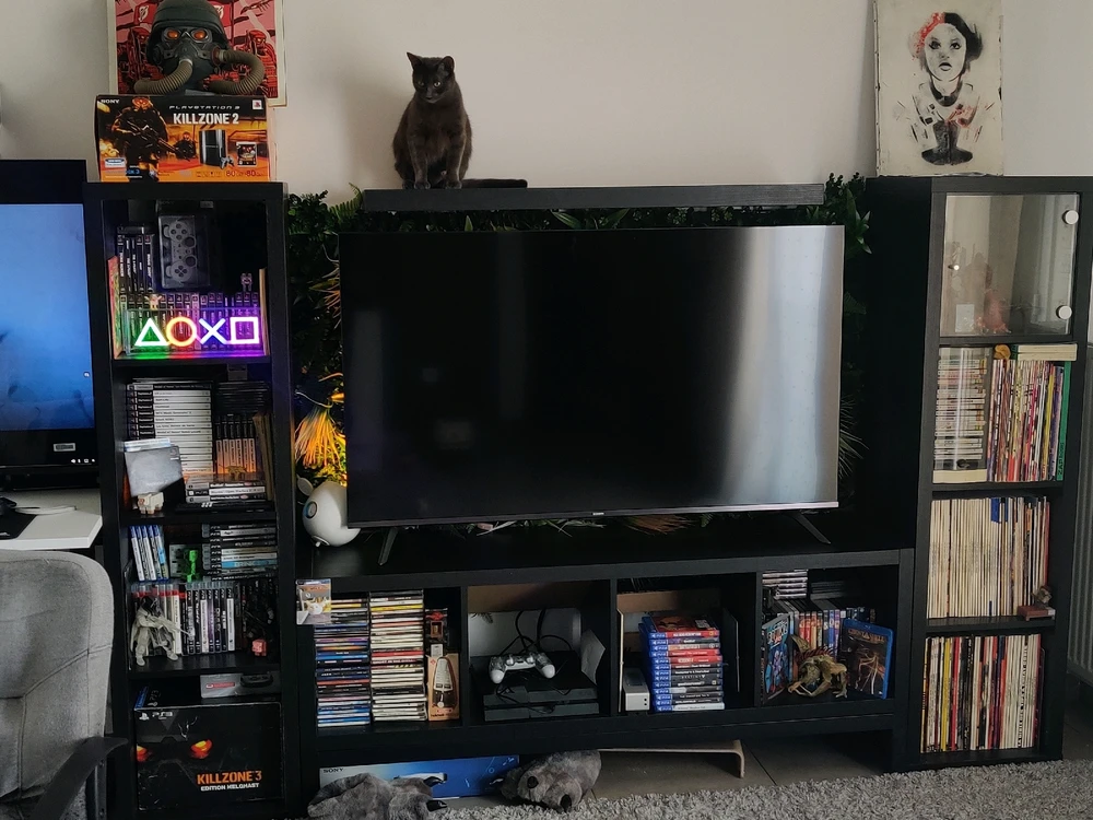 Image ajoutée par Brian