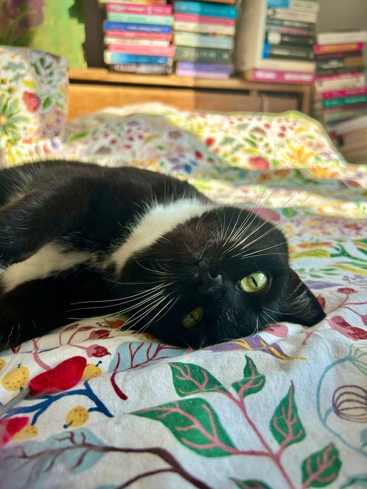 GIF dodany przez agni