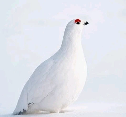 GIF uploaded by Nikki