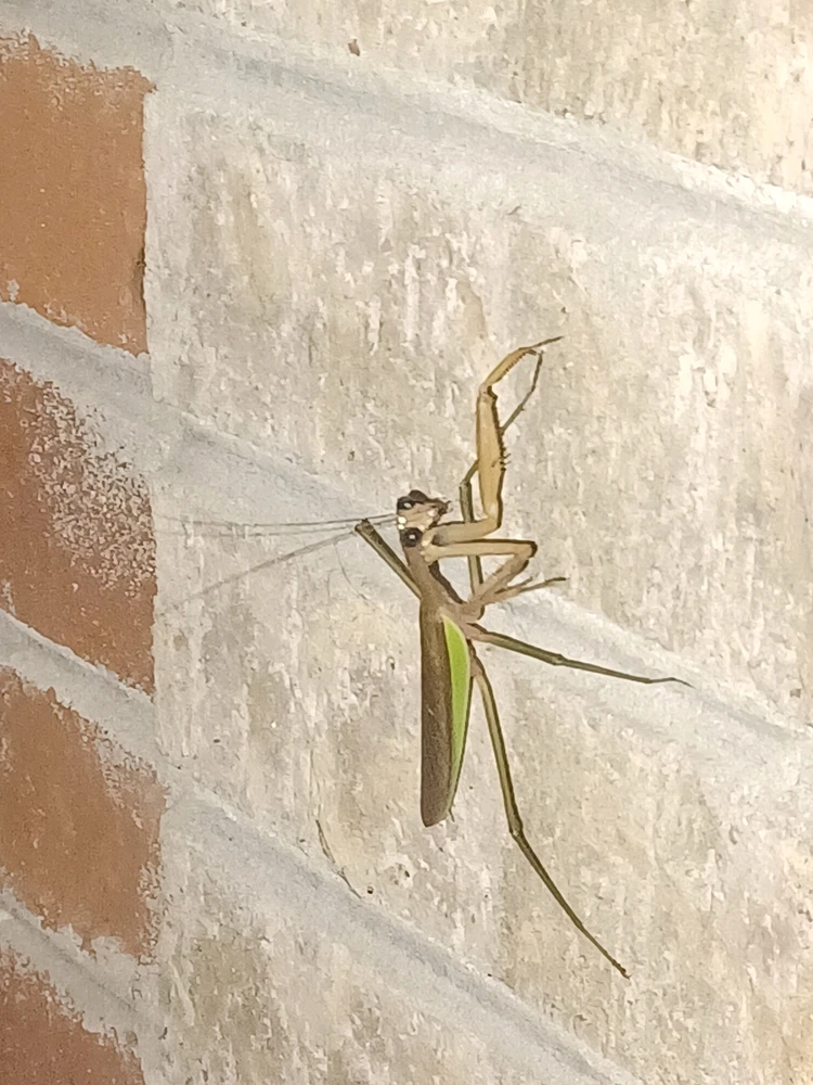 GIF uploaded by Corey