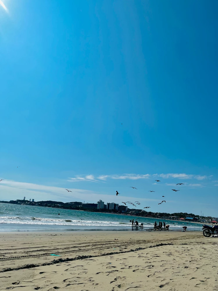 GIF subido por Iván Mora