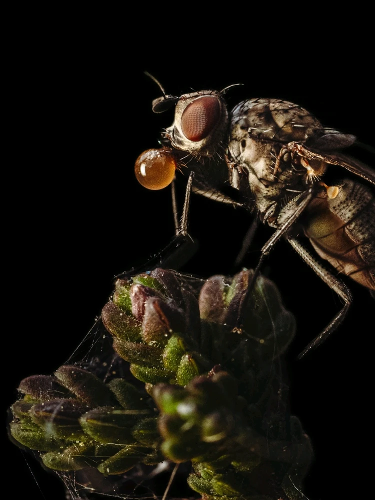 Zdjęcie dodane przez Mateusz