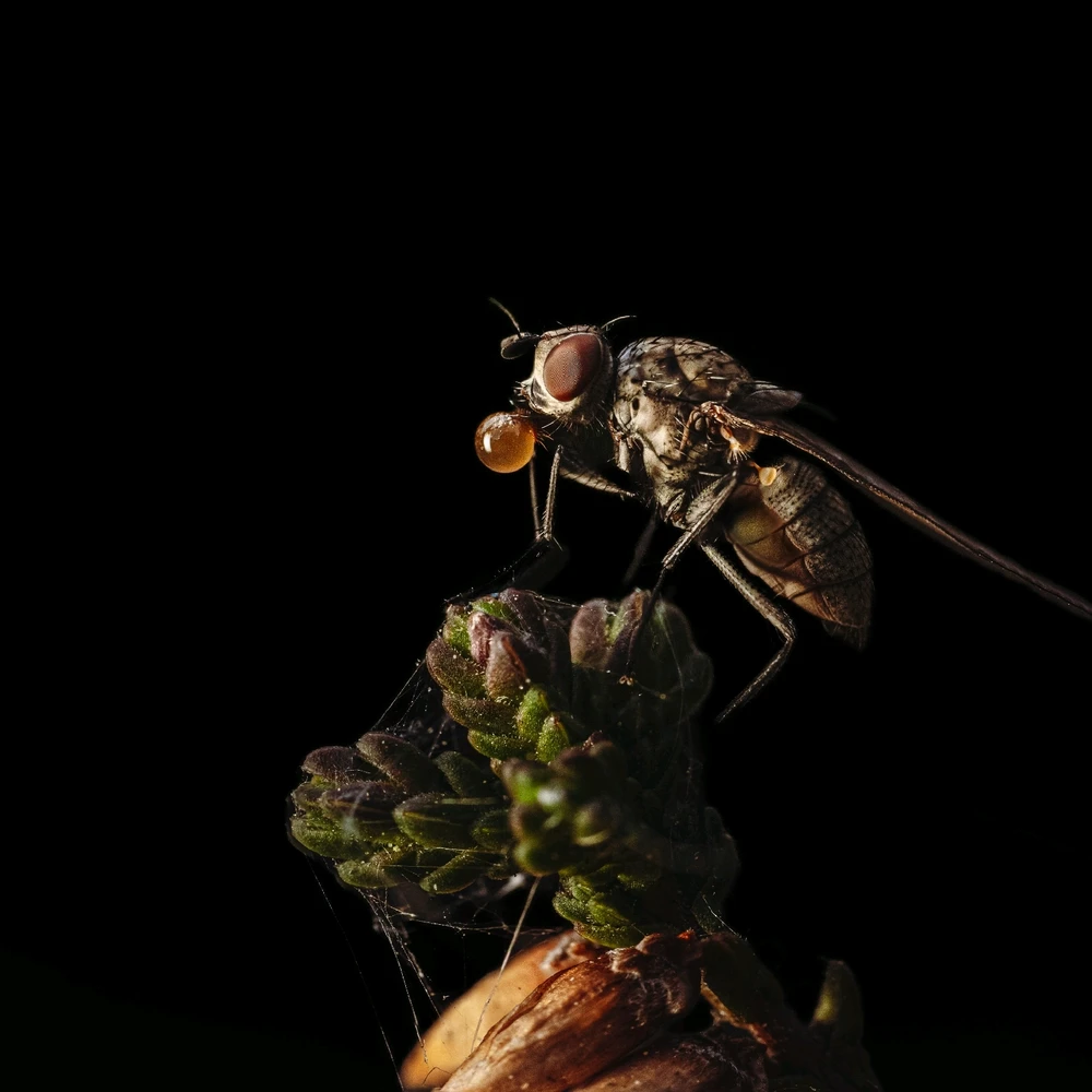 Zdjęcie dodane przez Mateusz