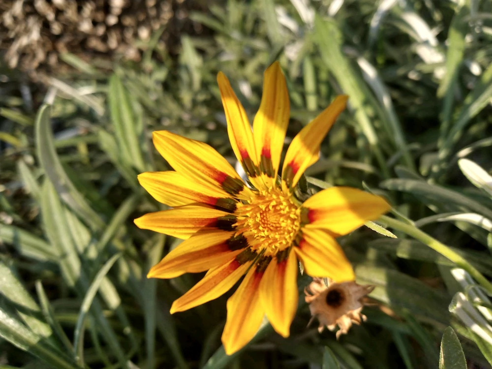 GIF uploaded by Riven