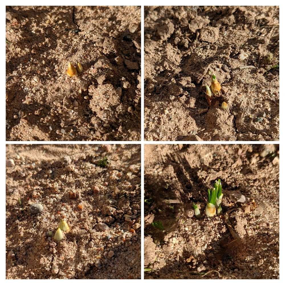 GIF uploaded by Sarah