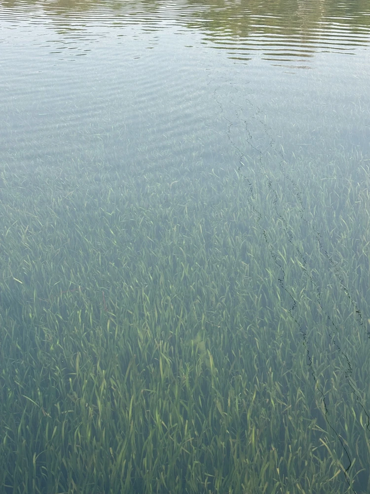 GIF uploaded by Sandeep