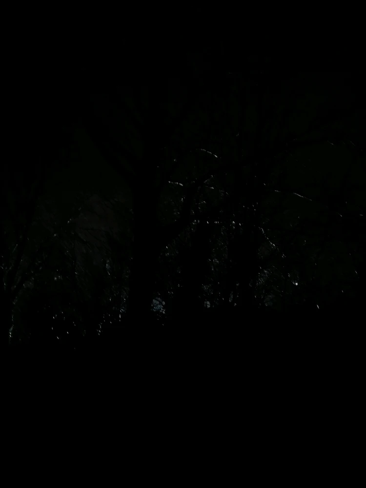 GIF hochgeladen von Matthias