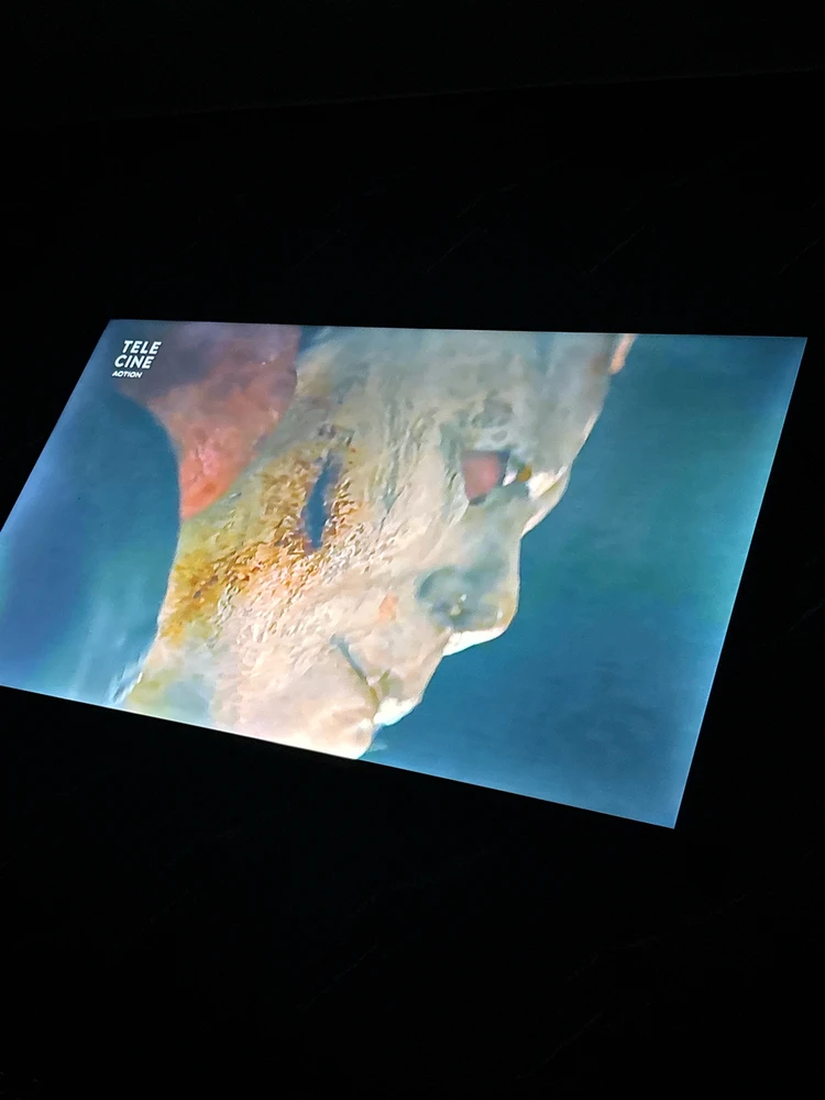 GIF enviado por Jackson