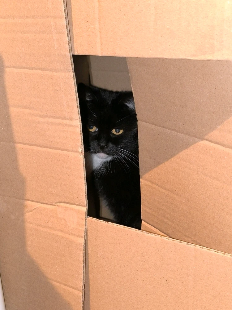 GIF ajouté par Mylène